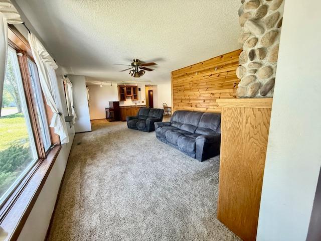 449 Centre St W, Vesta, MN 56292 - photo 12