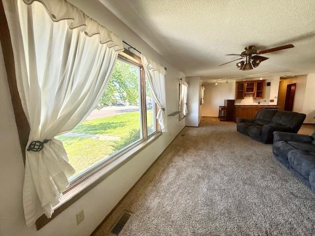 449 Centre St W, Vesta, MN 56292 - photo 13