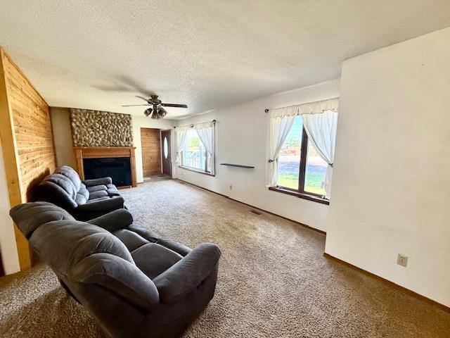 449 Centre St W, Vesta, MN 56292 - photo 28