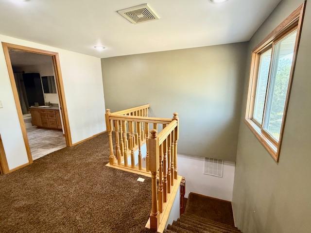 449 Centre St W, Vesta, MN 56292 - photo 33