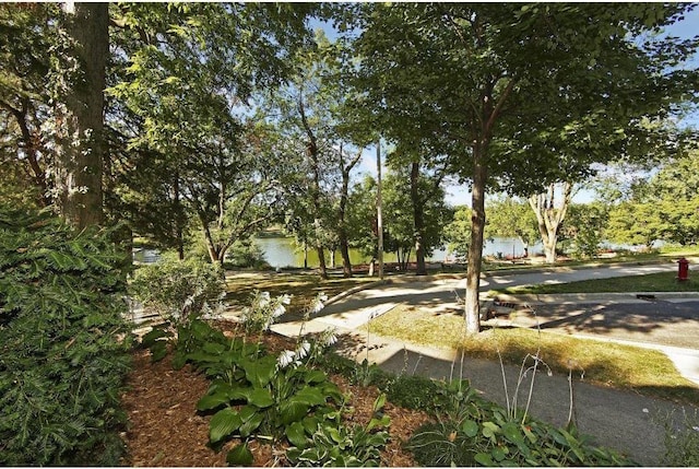 3608 Park Ave Unit 102, Minneapolis, MN 55407 - view of yard featuring a water view