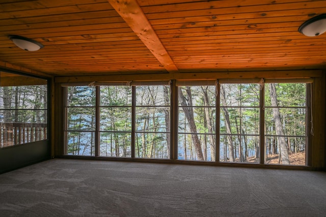 1192 Blackburn Rd, Scott Twp, WI 54801 - view of unfurnished sunroom