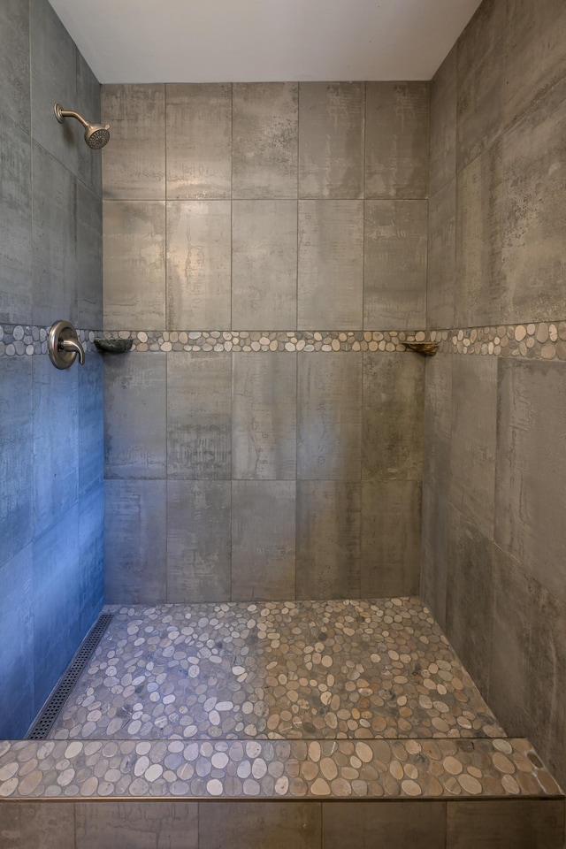1192 Blackburn Rd, Scott Twp, WI 54801 - bathroom featuring tiled shower