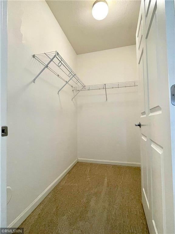 7601 Aldrich Ave S Unit 119, Richfield, MN 55423 - walk in closet with carpet floors