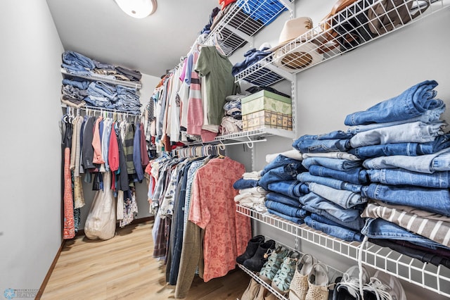 walk in closet featuring wood finished floors