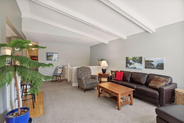 2241 17th St NW, New Brighton, MN 55112 - living room with light colored carpet