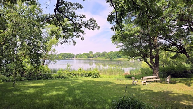 13047 Endicott Dr NW, Clearwater, MN 55320 - view of green lawn featuring a water view