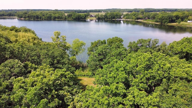 13047 Endicott Dr NW, Clearwater, MN 55320 - water view featuring a forest