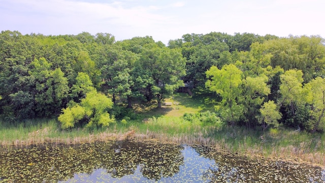 13047 Endicott Dr NW, Clearwater, MN 55320 - water view
