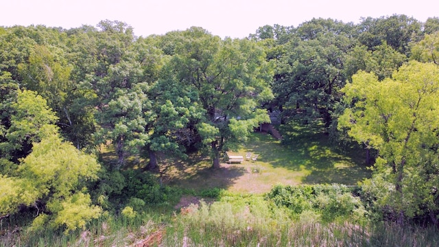 13047 Endicott Dr NW, Clearwater, MN 55320 - aerial view of property and surrounding area featuring a forest