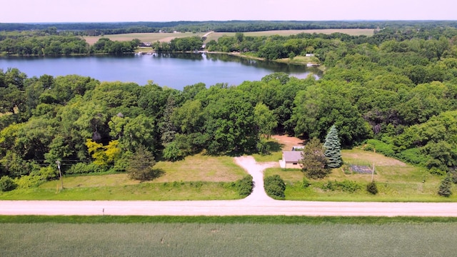 13047 Endicott Dr NW, Clearwater, MN 55320 - aerial view of a large body of water and a heavily wooded area