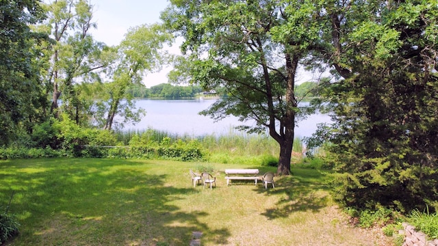13047 Endicott Dr NW, Clearwater, MN 55320 - view of green lawn featuring a water view