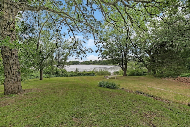 13047 Endicott Dr NW, Clearwater, MN 55320 - view of green lawn with a water view