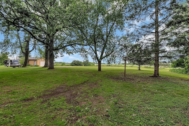 13047 Endicott Dr NW, Clearwater, MN 55320 - view of green lawn