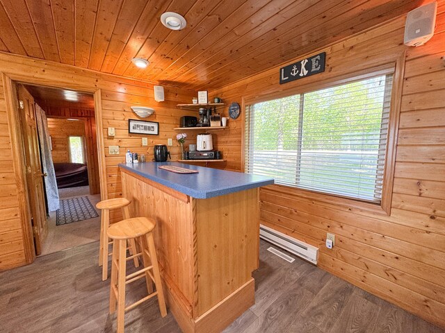 41443 County Highway 1, Ottertail, MN 56571 - indoor dry bar with baseboard heating, wood finished floors, plenty of natural light, wooden ceiling, and wooden walls