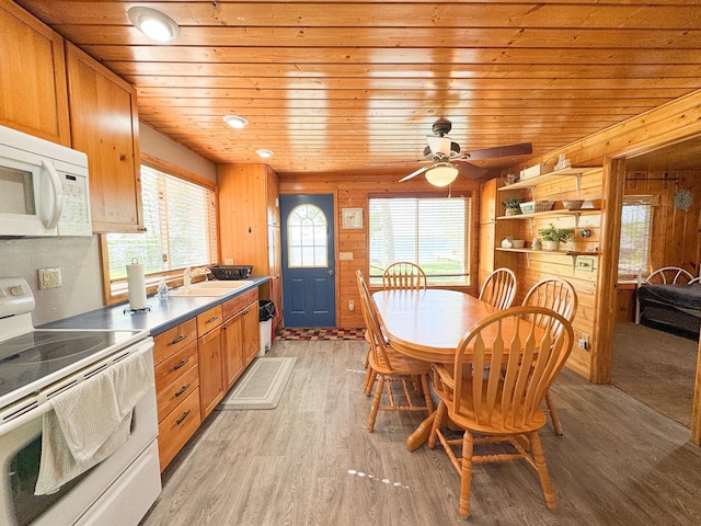 41443 County Highway 1, Ottertail, MN 56571 - dining room featuring wooden ceiling, light wood-style floors, wood walls, and a ceiling fan