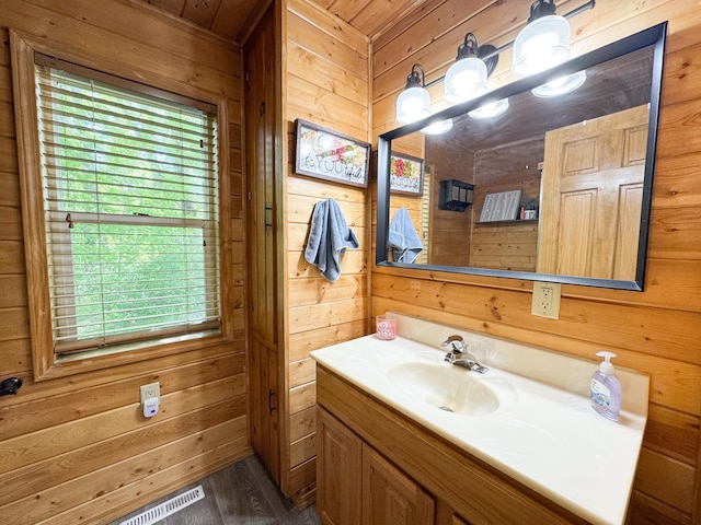 41443 County Highway 1, Ottertail, MN 56571 - bathroom with wooden walls, vanity, and wood finished floors