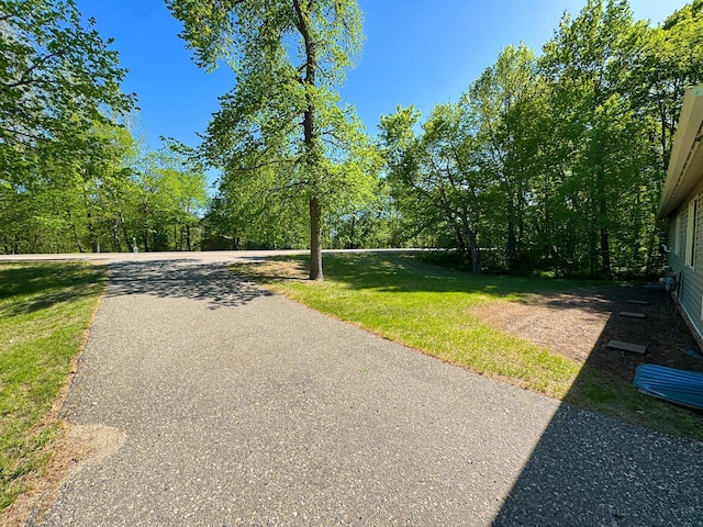 41443 County Highway 1, Ottertail, MN 56571 - view of street