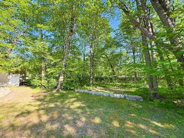 41443 County Highway 1, Ottertail, MN 56571 - view of grassy yard