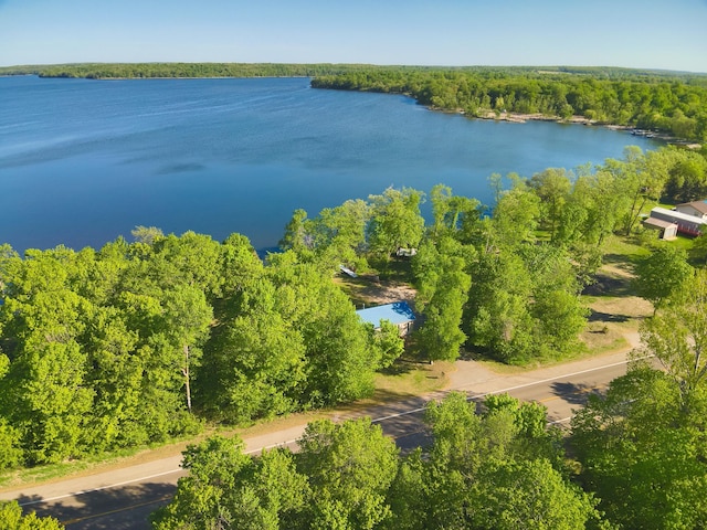 41443 County Highway 1, Ottertail, MN 56571 - drone / aerial view of a nearby body of water and a forest