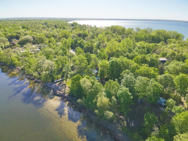 41443 County Highway 1, Ottertail, MN 56571 - drone / aerial view of a nearby body of water and a forest