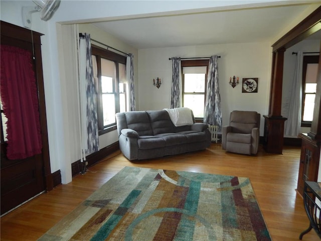 living area featuring plenty of natural light and wood finished floors