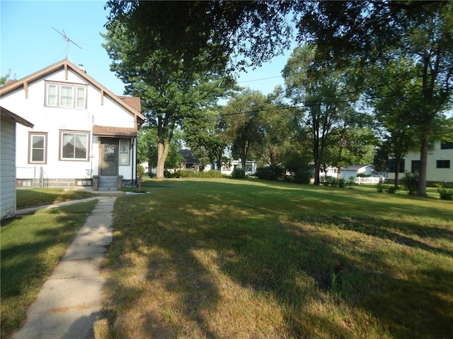 view of green lawn