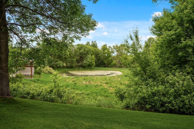 19136 Concord Ct NW, Elk River, MN 55330 - view of home's community with a lawn