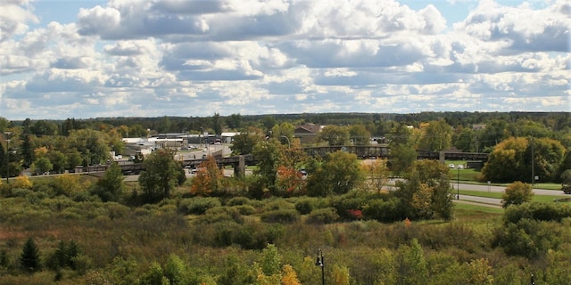 715 Lake Shore Dr NE Unit 115, Bemidji, MN 56601 - aerial view