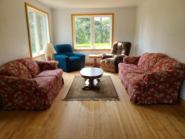 103 4th St, Grand Rapids, MN 55744 - living area with wood finished floors