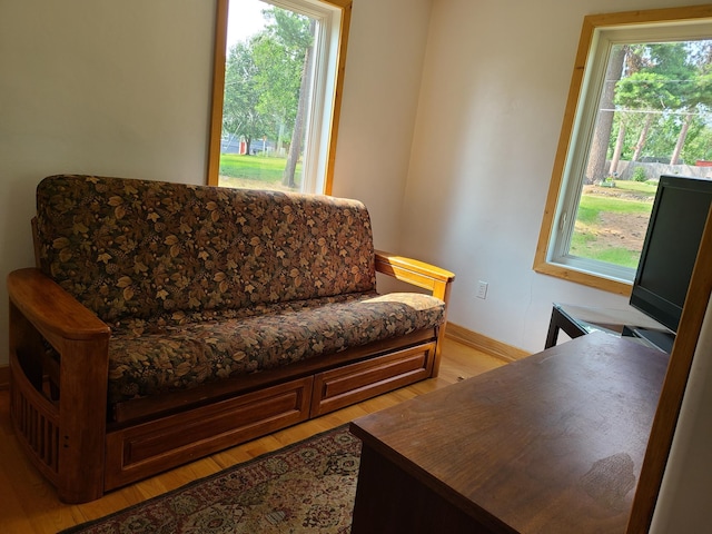 103 4th St, Grand Rapids, MN 55744 - sitting room with light wood finished floors, plenty of natural light, and baseboards