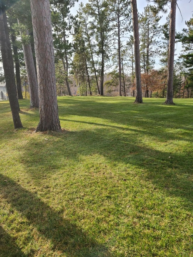 103 4th St, Grand Rapids, MN 55744 - view of green lawn