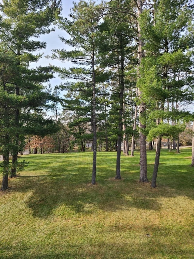 103 4th St, Grand Rapids, MN 55744 - view of grassy yard