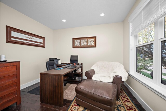 1013 Planters Path, Bayport, MN 55003 - office featuring plenty of natural light, baseboards, wood tiled floors, and recessed lighting