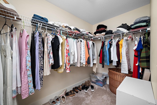 1013 Planters Path, Bayport, MN 55003 - spacious closet with carpet