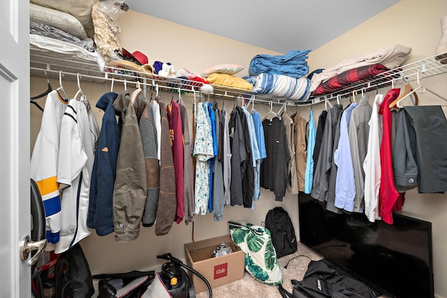 1013 Planters Path, Bayport, MN 55003 - walk in closet featuring carpet floors