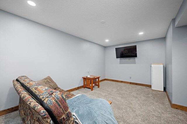 1013 Planters Path, Bayport, MN 55003 - living area featuring carpet floors, baseboards, and recessed lighting