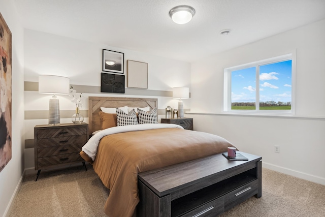 1951 Fulton Rd, Carver, MN 55315 - bedroom with carpet and baseboards