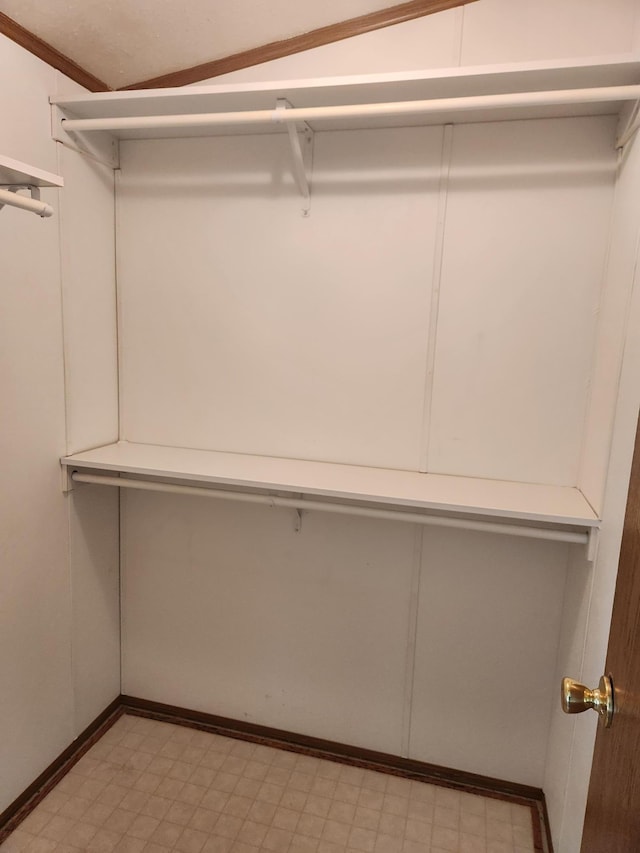 102 Jaybee Ln, Mankato, MN 56001 - spacious closet with light flooring