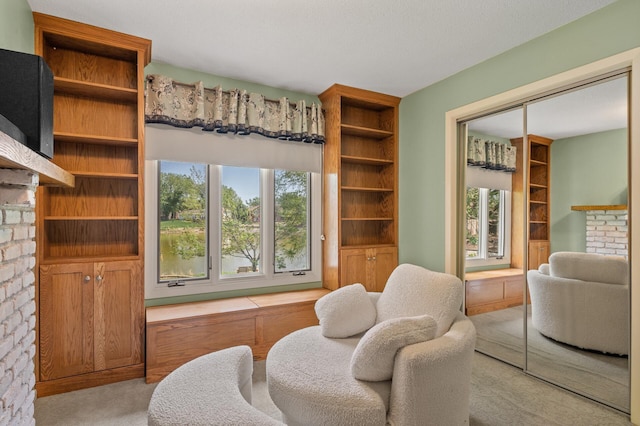 sitting room with carpet