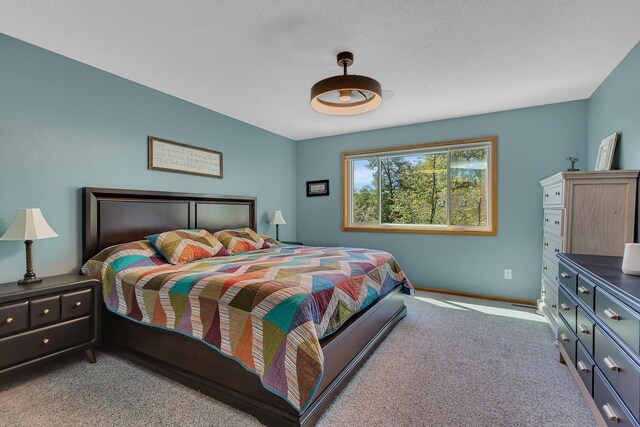 1502 9th St N, Sartell, MN 56377 - carpeted bedroom featuring baseboards
