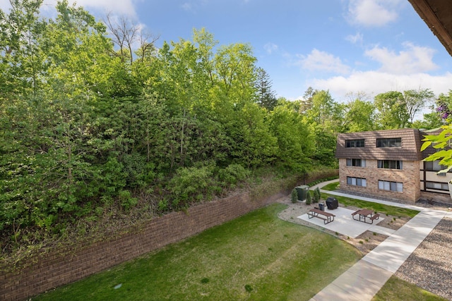 215 Barry Ave S Unit 306, Wayzata, MN 55391 - view of green lawn featuring a patio