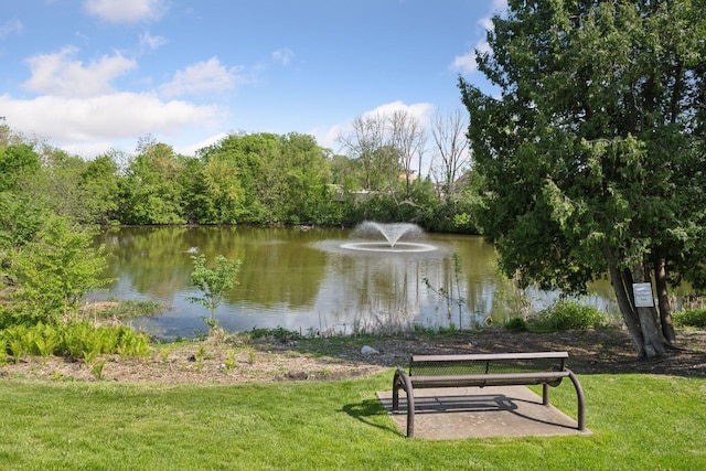215 Barry Ave S Unit 306, Wayzata, MN 55391 - view of community with a water view