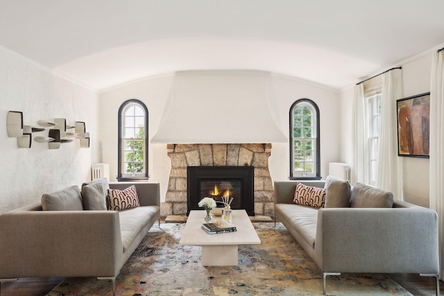 living room featuring lofted ceiling, healthy amount of natural light, and a fireplace