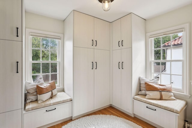mudroom with light wood-type flooring and healthy amount of natural light