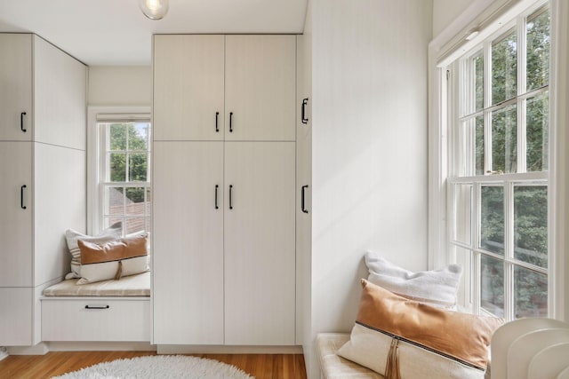 mudroom featuring light wood-type flooring