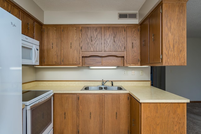 529 Spring St Unit 4, Kenyon, MN 55946 - kitchen featuring white appliances, a sink, light countertops, carpet floors, and a textured ceiling