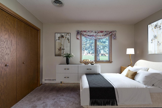 529 Spring St Unit 4, Kenyon, MN 55946 - bedroom with dark colored carpet and a closet
