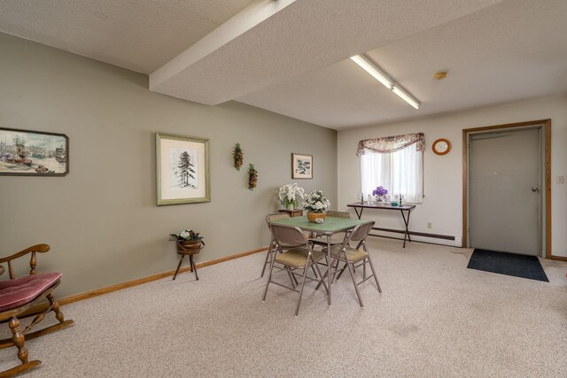 529 Spring St Unit 4, Kenyon, MN 55946 - dining area featuring a baseboard radiator, light carpet, baseboards, and a textured ceiling
