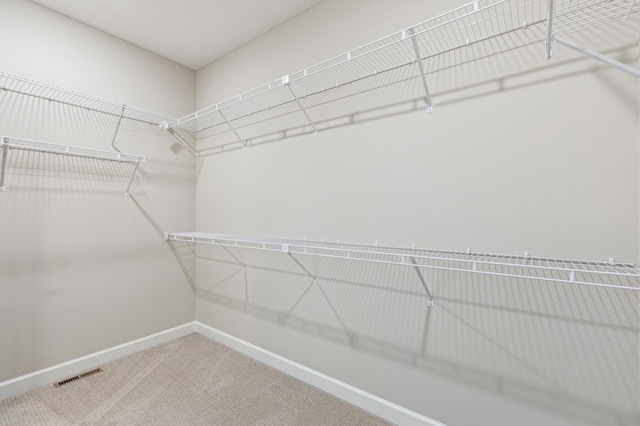 8014 Walnut Ln, Corcoran, MN 55340 - walk in closet featuring carpet floors